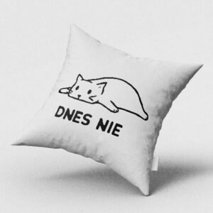 Dnes nie - ležiaca mačka