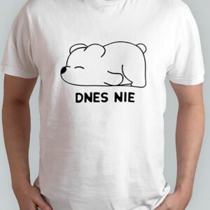 Dnes nie - spiaci medveď
