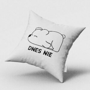 Dnes nie - spiaci medveď